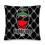 HB Print Bandit Pillow